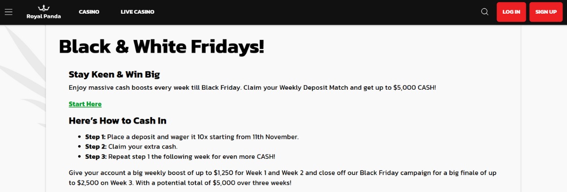 Royal Panda Casino Black Friday Offer