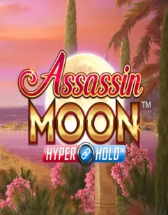 Image for Assassin Moon Image