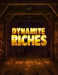 Image for Dynamite riches Image